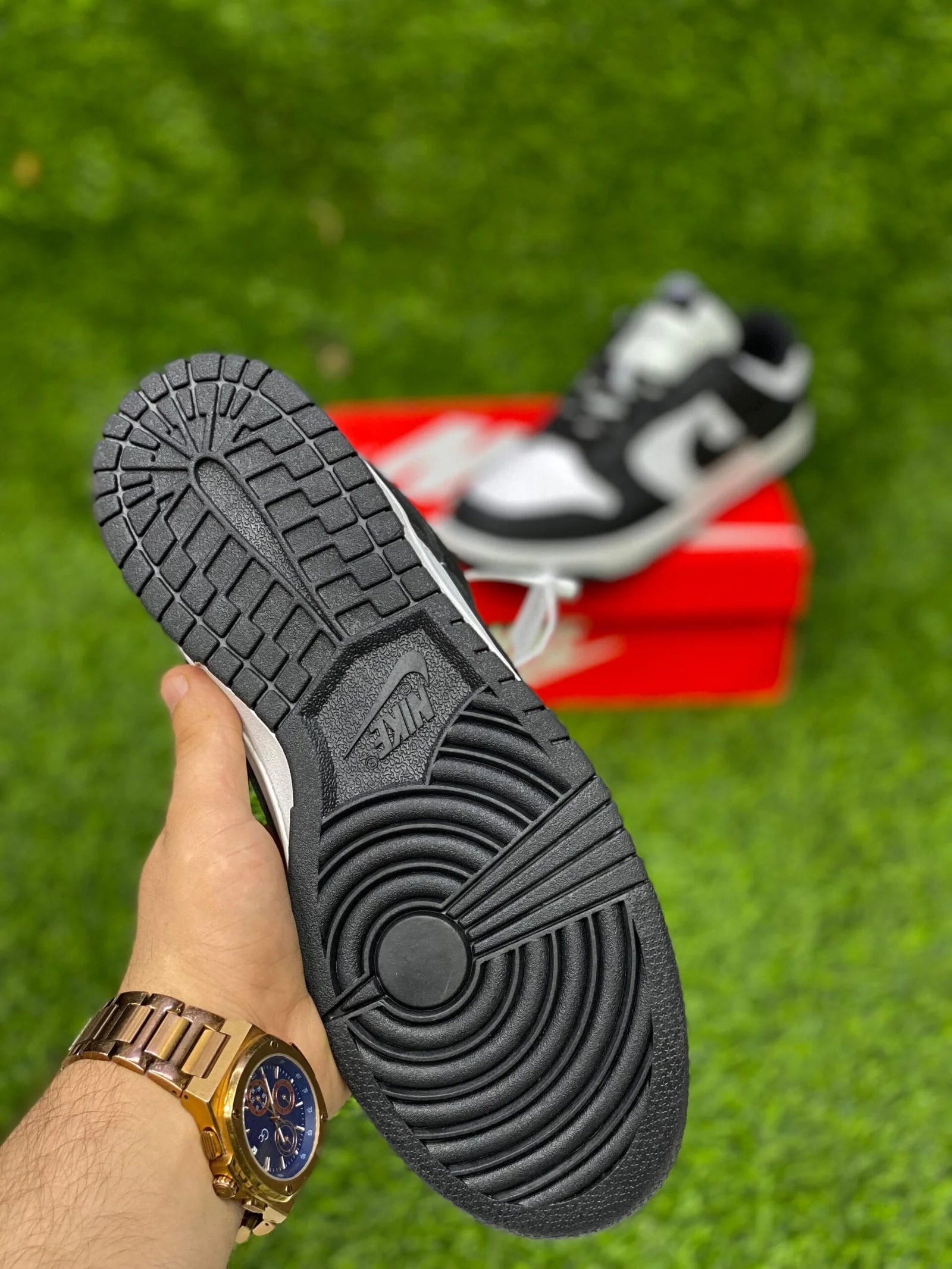 Nike Panda Shoes Back Side in Zaytra